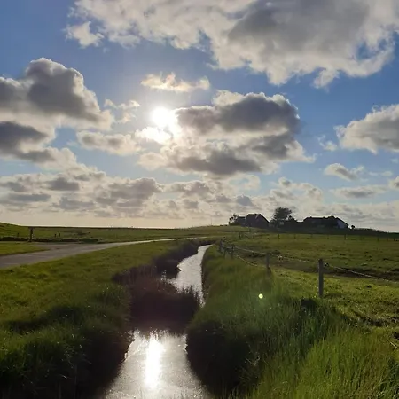 Hare Veer
