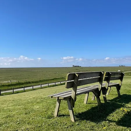 Hare Veer * Langeneß